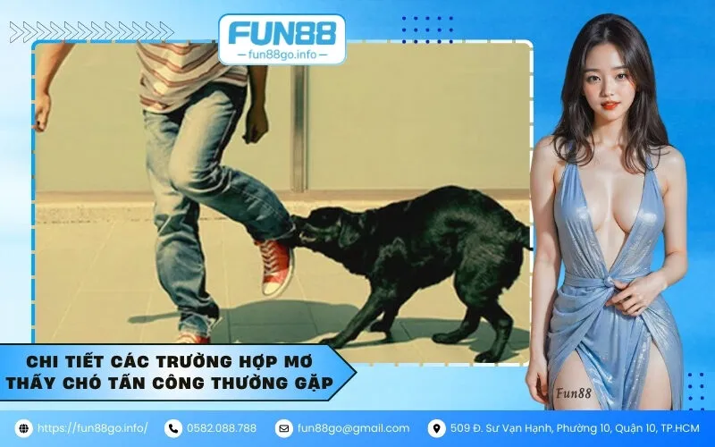 Chi tiết các trường hợp mơ thấy chó tấn công thường gặp