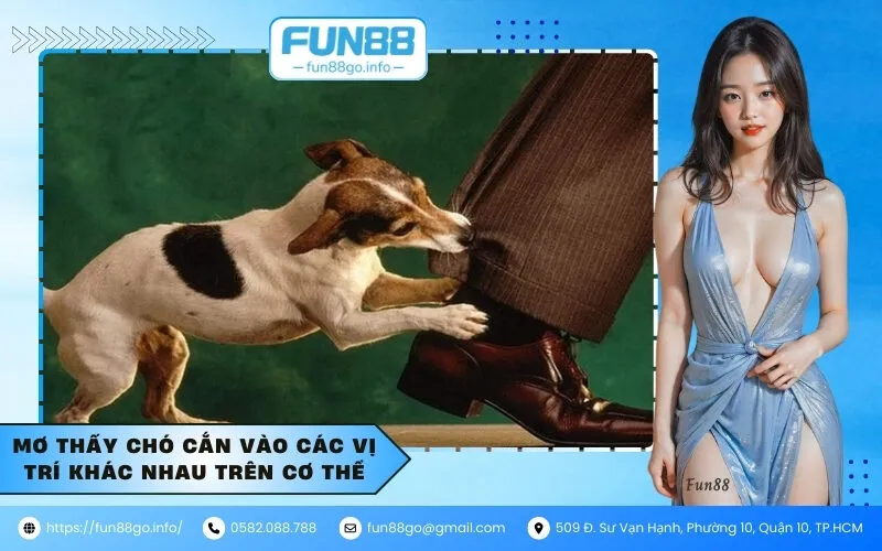 Mơ thấy chó cắn vào các vị trí khác nhau trên cơ thể