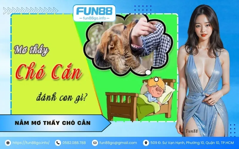 Nằm mơ thấy chó cắn