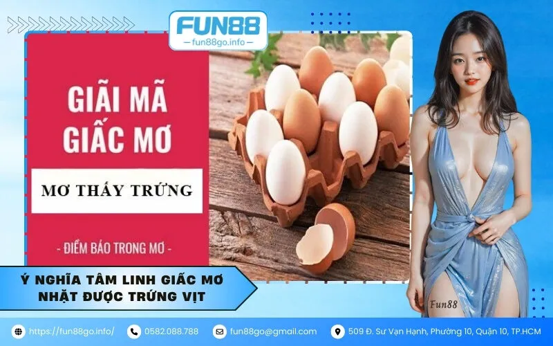 Ý nghĩa tâm linh giấc mơ nhặt được trứng vịt